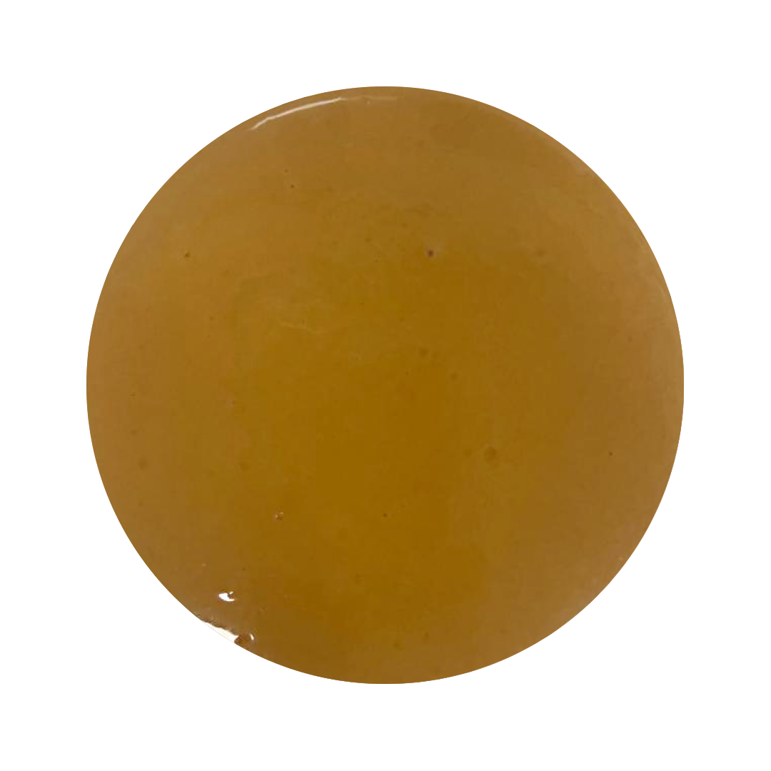 Creme Brulee Gelato Paste