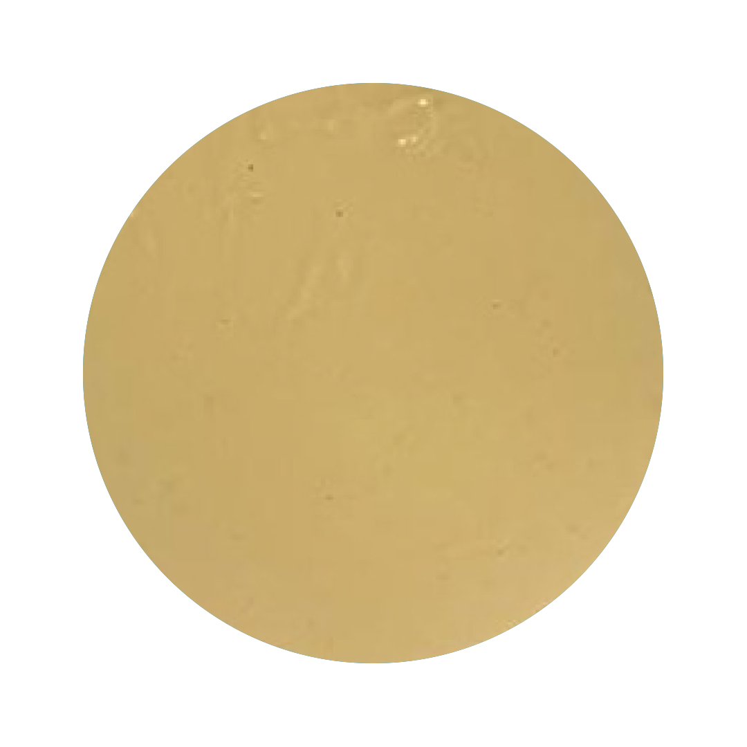 Cremino Panna Cotta Spreadable Cream