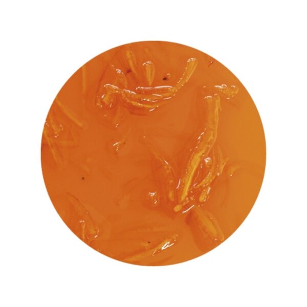 Variegato Orange Ripple Sauce