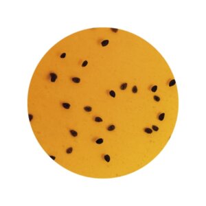 Variegato Passion Fruit Ripple Sauce