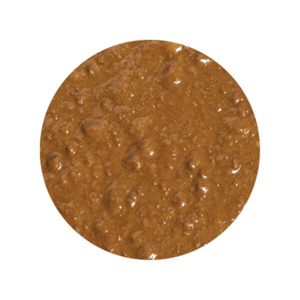 F361-VAR-SPECULOOS.jpg Variegato Speculoos Ripple Sauce
