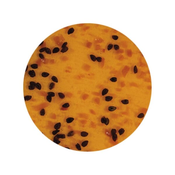 VARIEGATO GINGER PASSION