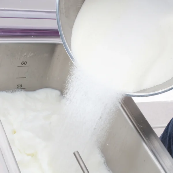 Coperchio-aperto_1-1.webp carpigiani Pastomaster 60 XPL P