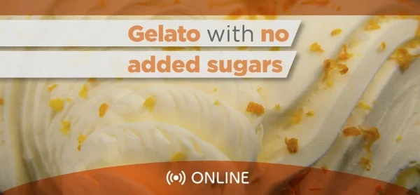 Gelato with no added sugars