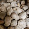 Almonds Almonds