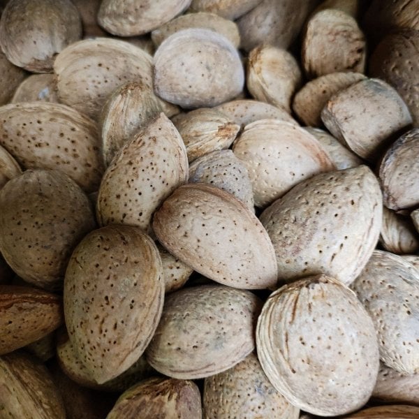 Almonds Almonds
