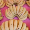 Bananas Bananas