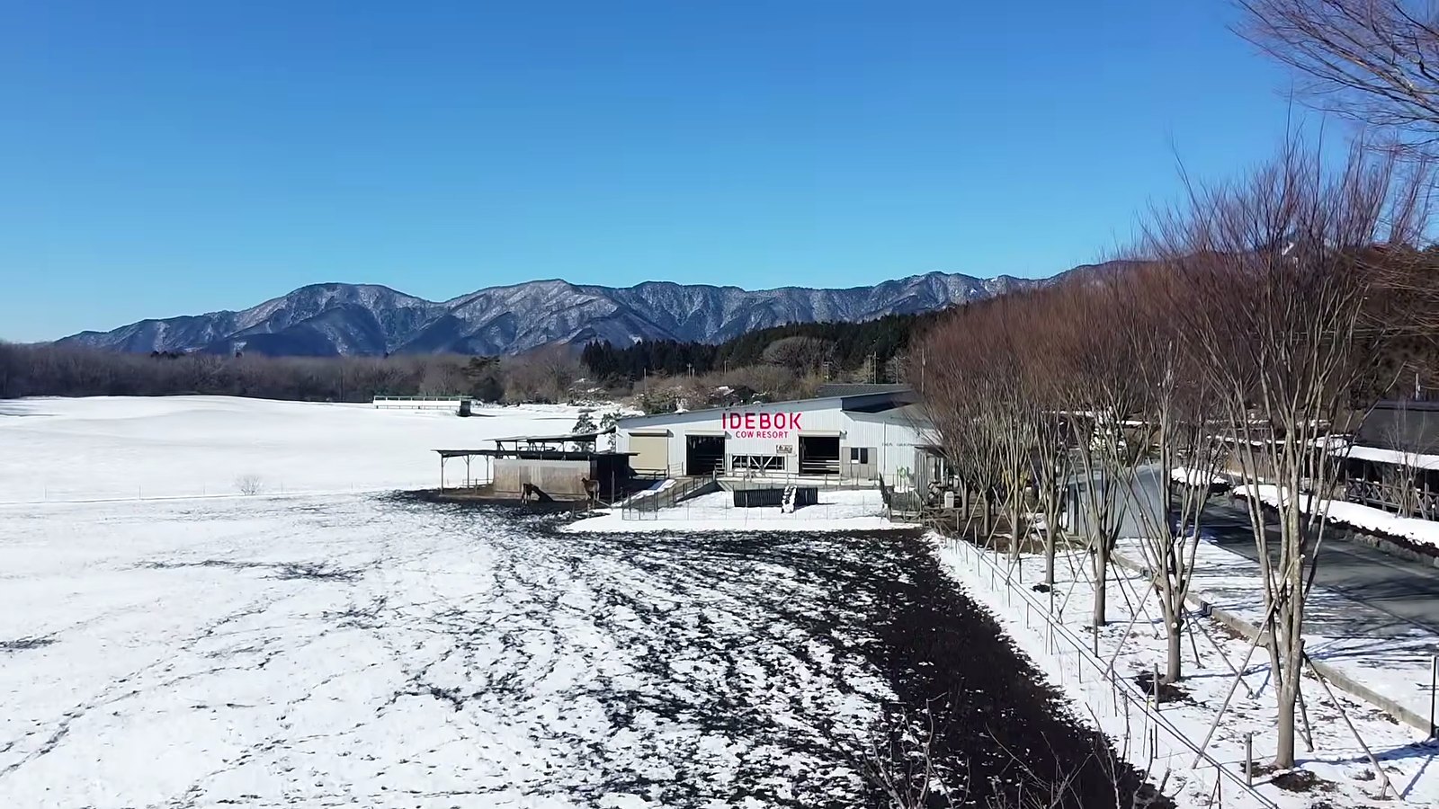 The farm under snow.