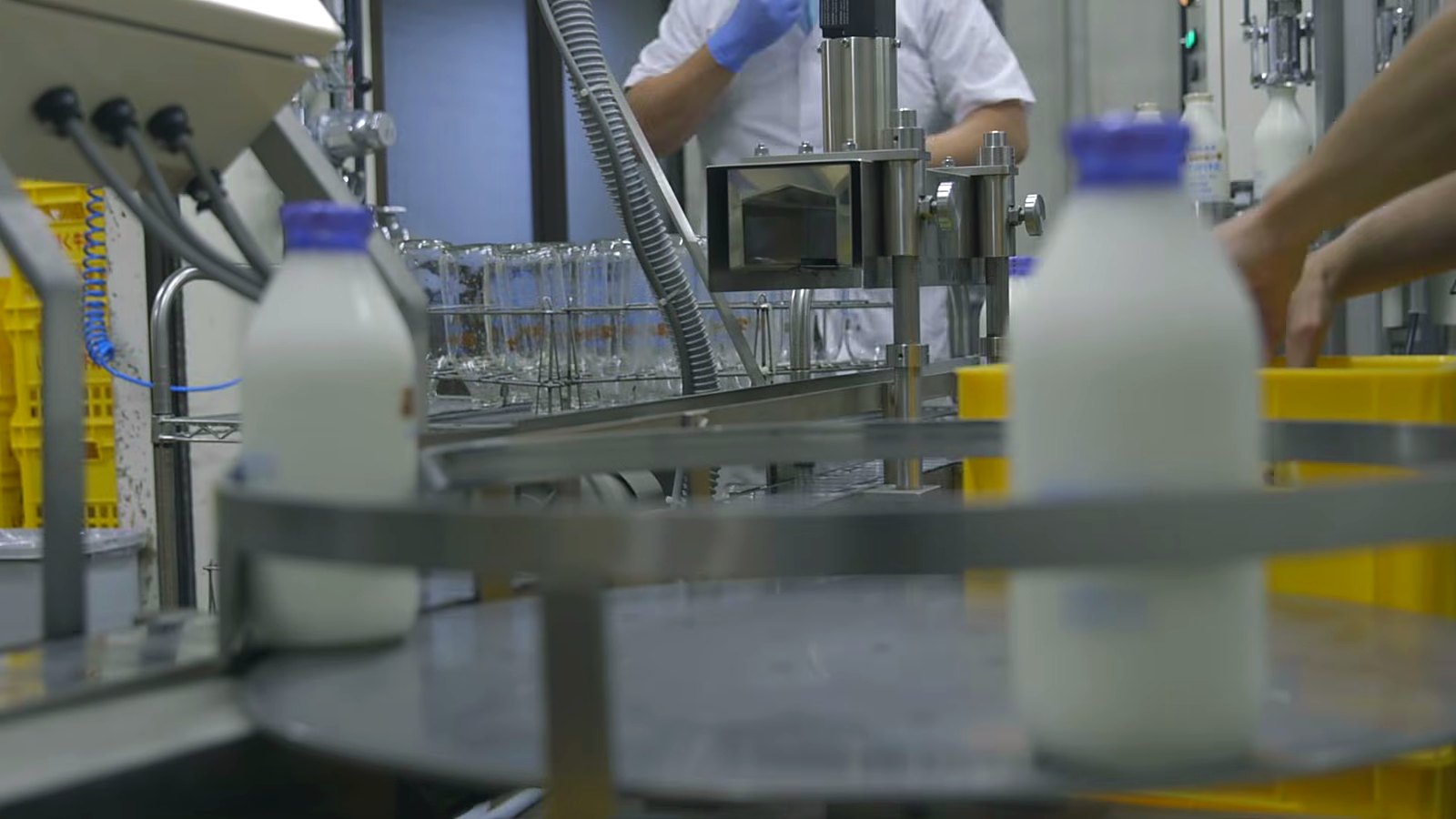 Fresh milk on the bottling line.