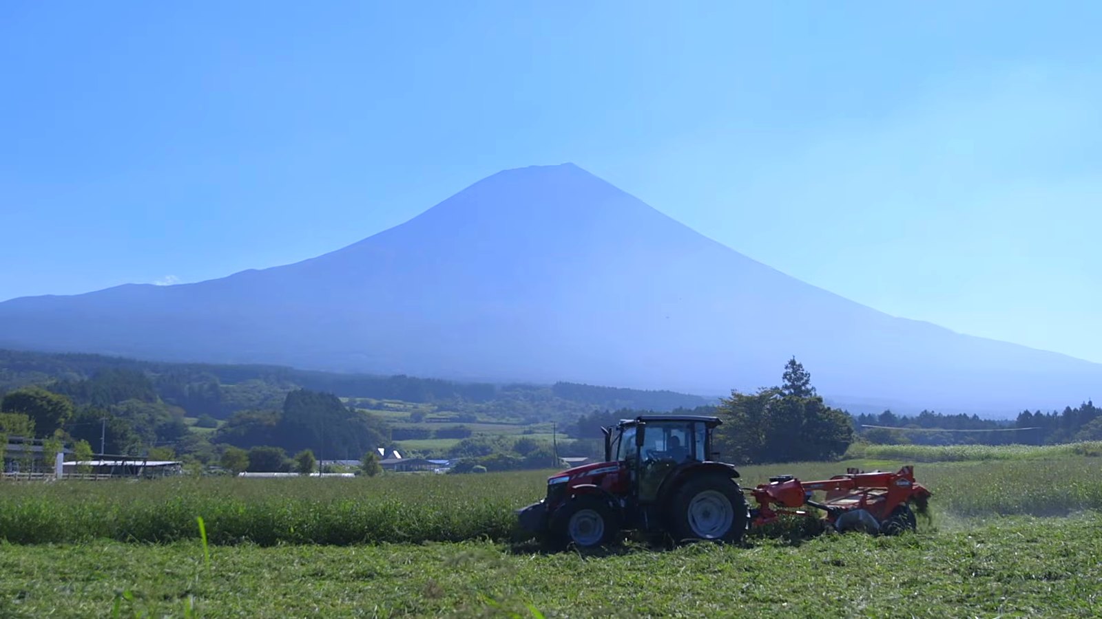 Mount Fuji keeps watch over the pasture.