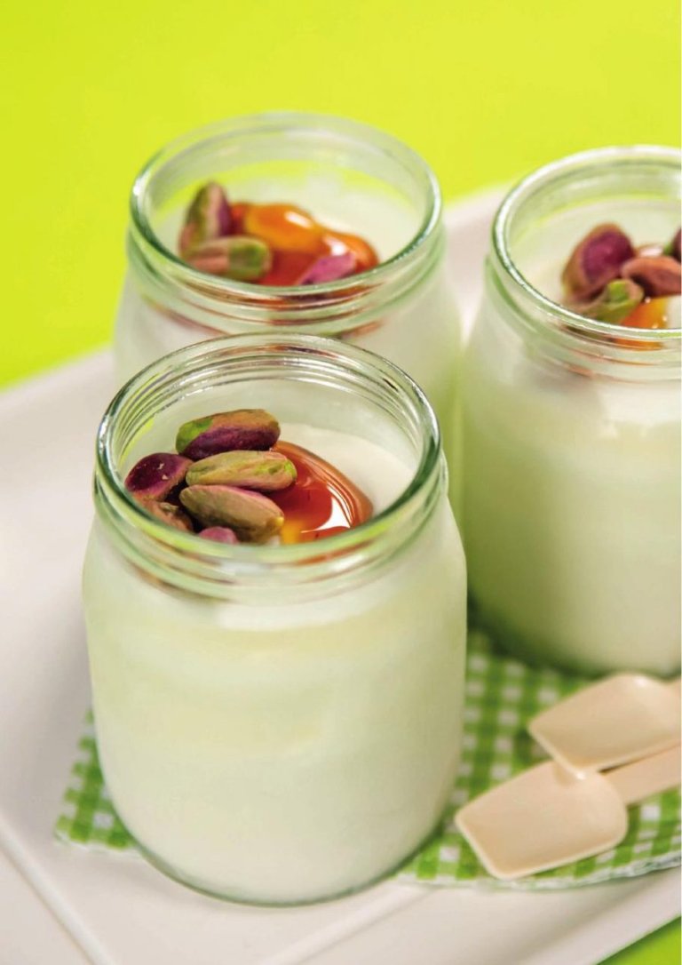 Yoghurt made with the Carpigiani Lab-O-Chef 5