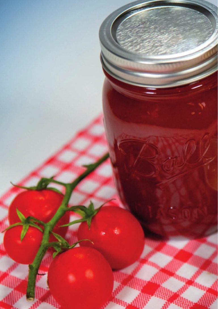 Tomato Paste made with the Carpigiani Lab-O-Chef 5