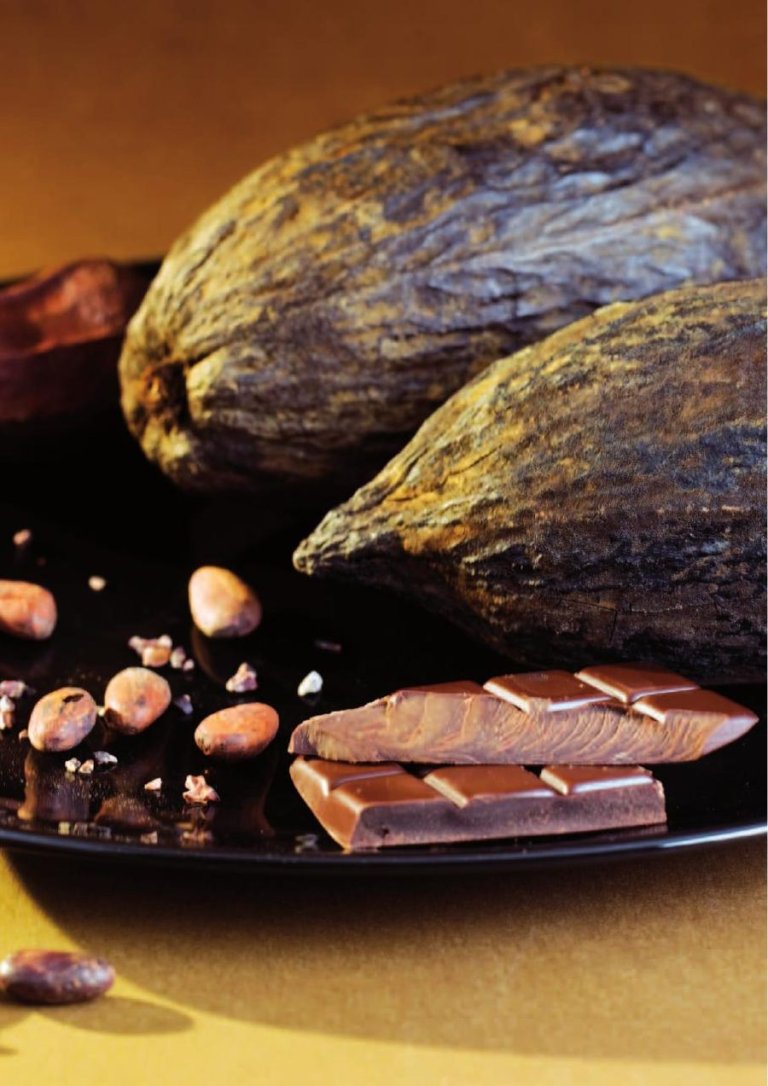 Chocolate Tempering Dark, White, Milk made with the Carpigiani Maestro HCD