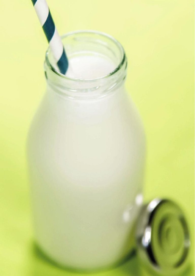 Liquid Yoghurt made with the Carpigiani Pastomaster HE