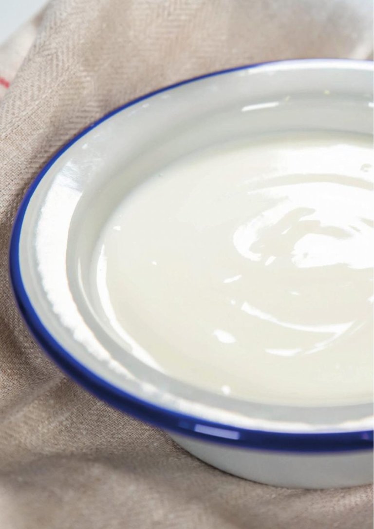 Dense Yoghurt made with the Carpigiani Pastomaster HE