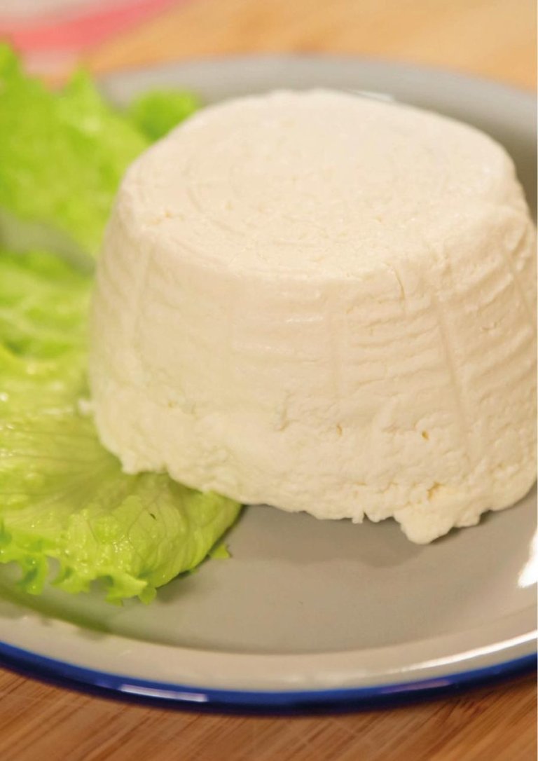 Ricotta Cheese made with the Carpigiani Pastomaster HE