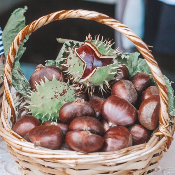 Chestnuts