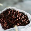 Cocoa beans Cocoa beans
