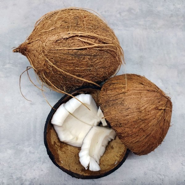 Coconut