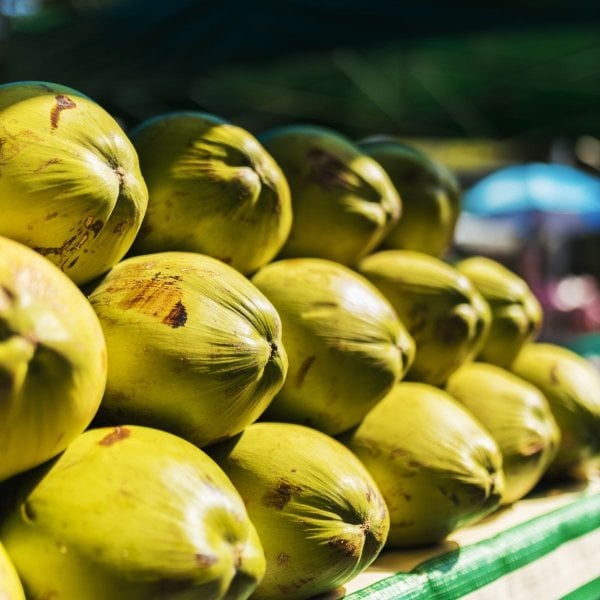 Coconut water