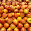 Fresh apples