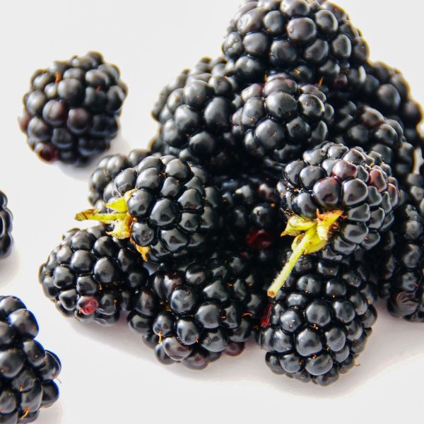 Fresh blackberries Fresh blackberries