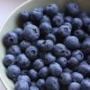 Fresh blueberries