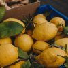 Fresh lemons ginger Fresh lemons ginger