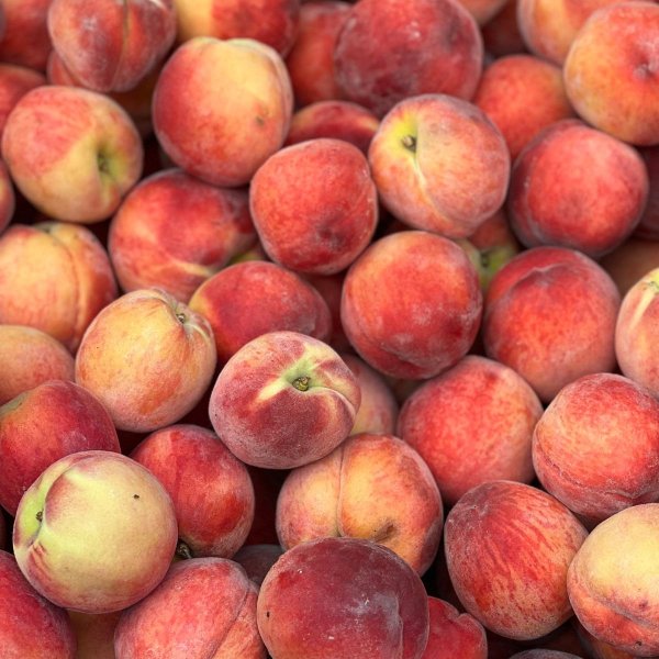 Fresh peaches Fresh peaches