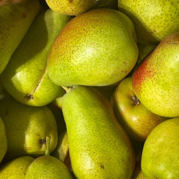 Fresh pears