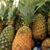 Fresh pineapple Fresh pineapple