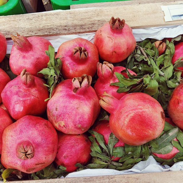 Fresh pomegranates Fresh pomegranates