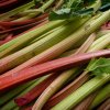Fresh rhubarb