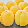 Fresh yellow peaches