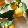 Fresh yuzu
