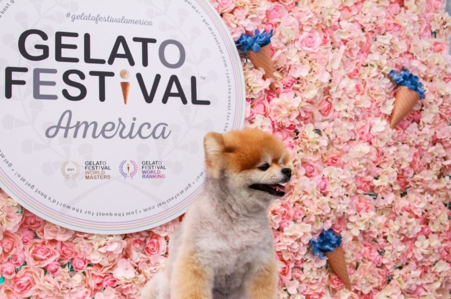 Gelato Festival flagship store mascot artwork
