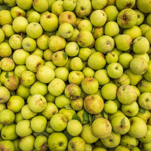 Green apples Green apples