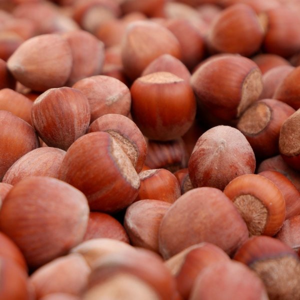 Hazelnuts Hazelnuts