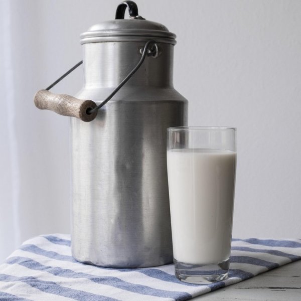 Milk Milk