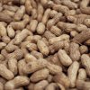 Peanuts Peanuts