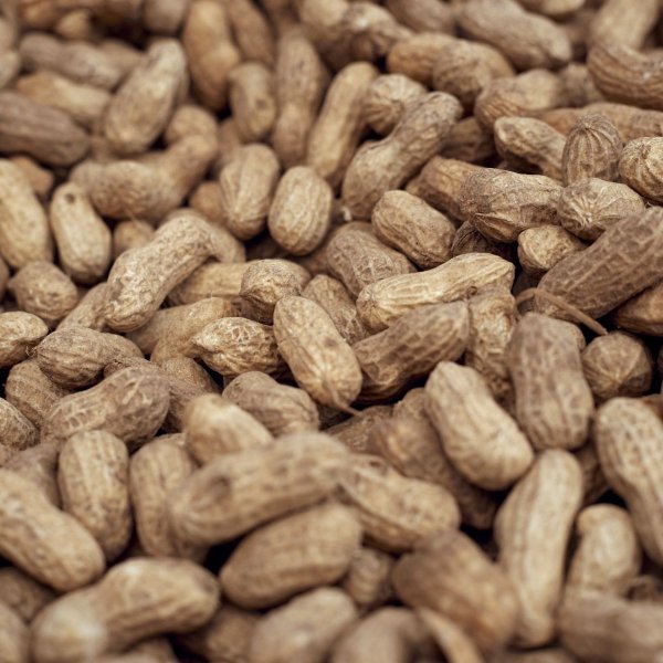 Peanuts Peanuts