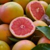 Pink grapefruits