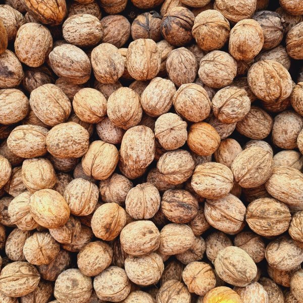 Walnuts